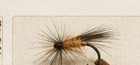 A traditional dry fly tied on a hook